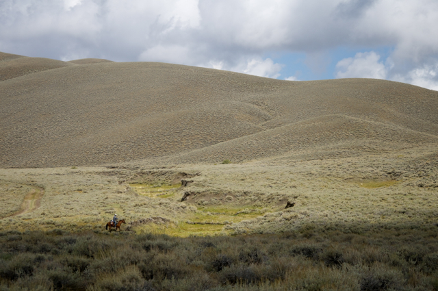 DSC_7162.jpg
