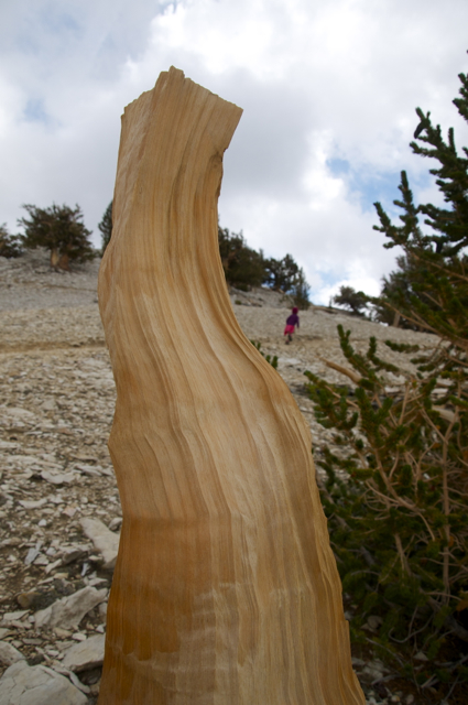 DSC_7171.jpg