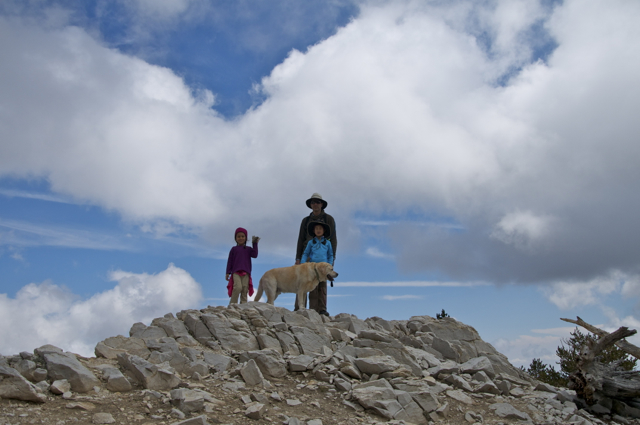 DSC_7172.jpg