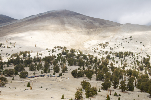 DSC_7176.jpg