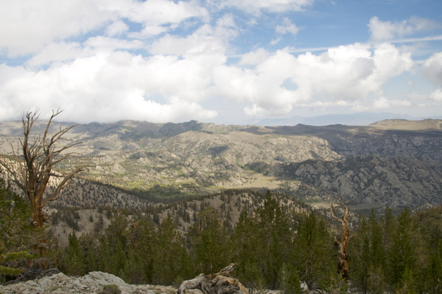 DSC_7182.jpg