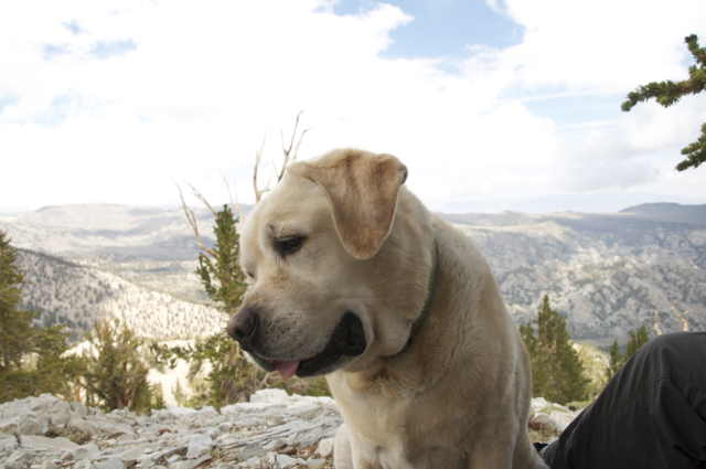 DSC_7184.jpg