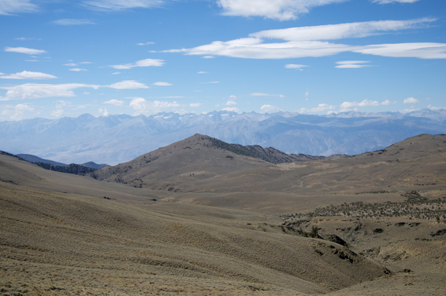 DSC_7214.jpg