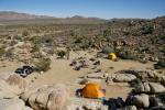 Joshua Tree : Nov 2013