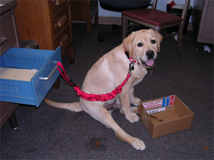 DSCN0710.jpg