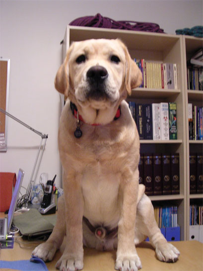 DSCN1452.jpg