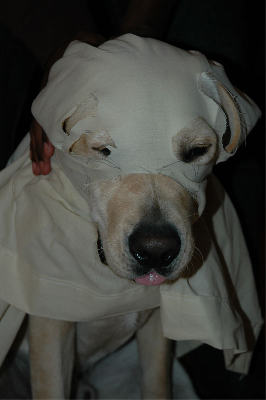 DSC_0296.jpg