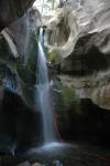 Kolob Creek : Sep 2005
