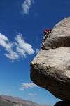 Joshua Tree : May 2005