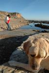 Palos Verdes : Feb 2007