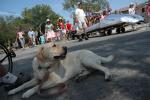 July 4th Parade : Jul 2007