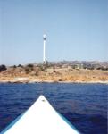 Local Paddles : 1996 - present